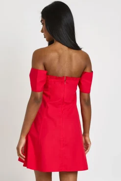 boohoo Robe Mini Bardot À Buste Froncé<Femme Robes Patineuses|Robes