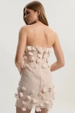 Robe Mini Bustier en Dentelle Appliquée Tissée