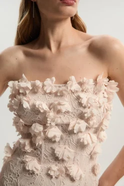 Robe Mini Bustier en Dentelle Appliquée Tissée
