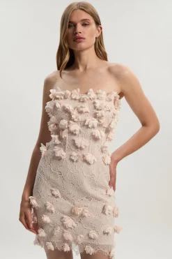 Robe Mini Bustier en Dentelle Appliquée Tissée