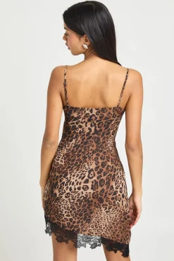 Robe Mini Contrastée Léopard & Dentelle