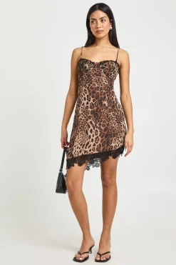 Robe Mini Contrastée Léopard & Dentelle