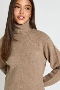 boohoo Robe Mini En Maille Épaisse À Col Roulé<Femme Pulls Et Gilets|Toutes Les Mailles