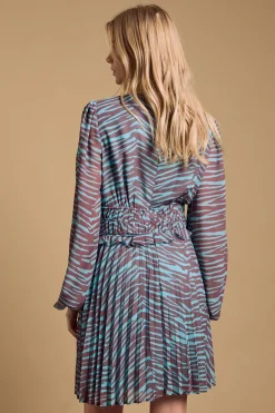 Oasis Robe Mini à Manches Longues avec Jupe Plissée Imprimée<Femme Toutes Les Robes|Robes À Manches Longues