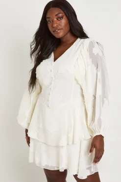 Robe Patineuse Grande Taille À Motif Floral Dévoré Avec Manches Bouffantes Et Ourlet À Volants