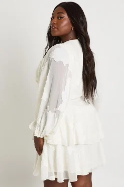 Robe Patineuse Grande Taille À Motif Floral Dévoré Avec Manches Bouffantes Et Ourlet À Volants