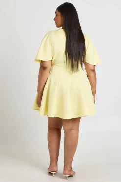 boohoo Robe Patineuse Grande Taille À Jupe Plissée<Femme Toutes Les Robes|Robes Patineuses