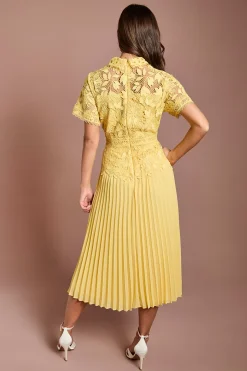 Robe Plissée À Haut En Dentelle