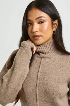 boohoo Robe Synthétiquell Mini Tricotée À Col Montant Avec Détail De Couture Petite<Femme Pulls Et Gilets|Toutes Les Mailles