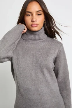 Roll Neck Chunky Knit Mini Dress