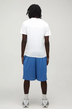 Short De Basket En Mesh Imprimé 44