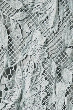 Short en Dentelle Petite avec Taille Satinée