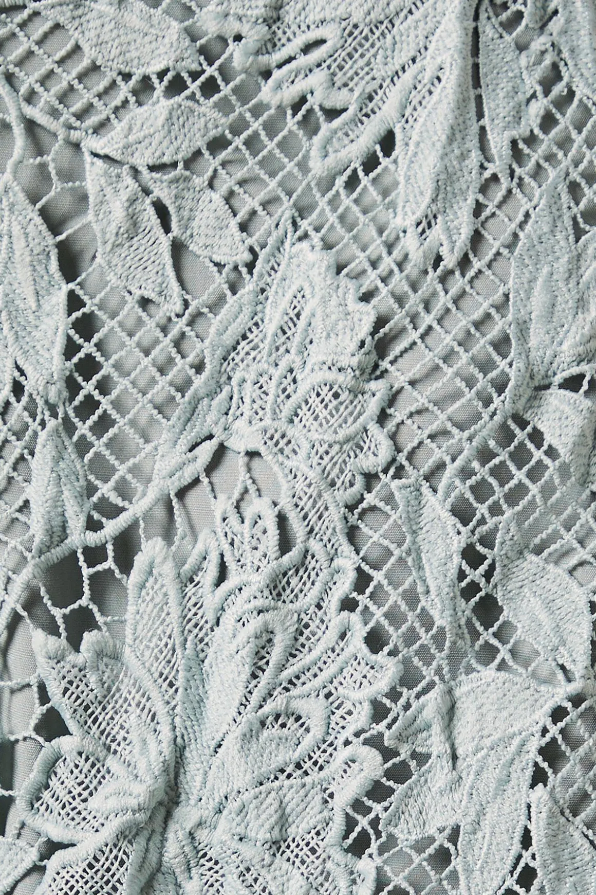 Short en Dentelle Petite avec Taille Satinée