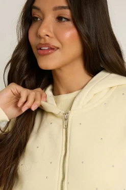 boohoo Sweat À Casynthétiqueche Boxy Zippé Clouté Effet Délavé<Femme Sweats À Capuche Et Sweats|Athleisure