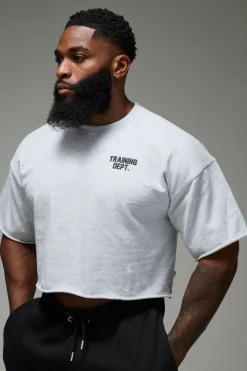 Sweat Training Dept Manches Courtes Cropped
