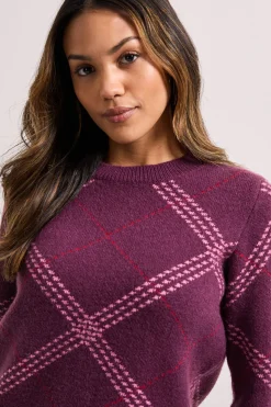 synthétiquell Argyle Berry