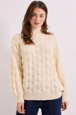 Dorothy Perkins synthétiquell Col Roulé à Torsades<Femme Pulls Et Gilets|Toutes Les Mailles