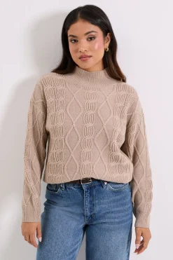 Dorothy Perkins synthétiquell Long Col Cheminée Petite à Torsades<Femme Pulls Et Gilets|Toutes Les Mailles