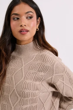 Dorothy Perkins synthétiquell Long Col Cheminée Petite à Torsades<Femme Pulls Et Gilets|Toutes Les Mailles