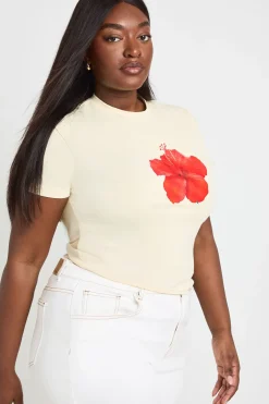 boohoo T-shirt Baby Tee Grande Taille À Imprimé Floral<Femme Tops