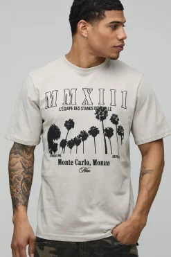 T-shirt Graphique Palmier Coupe Regular Pierre