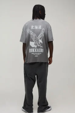 T-shirt Oversize Gris Anthracite Effet Spray Wash Avec Imprimé Hokkaido