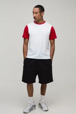 T-shirt Ringer Coupe Regular À Blocs De Couleur