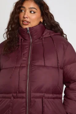 Veste matelassée à capuche et à taille cintrée Plus