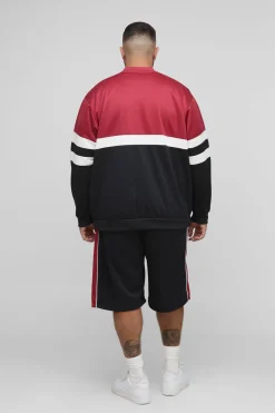 Veste Plus Man Tricot Colour Block Coupe régulière à col cheminée